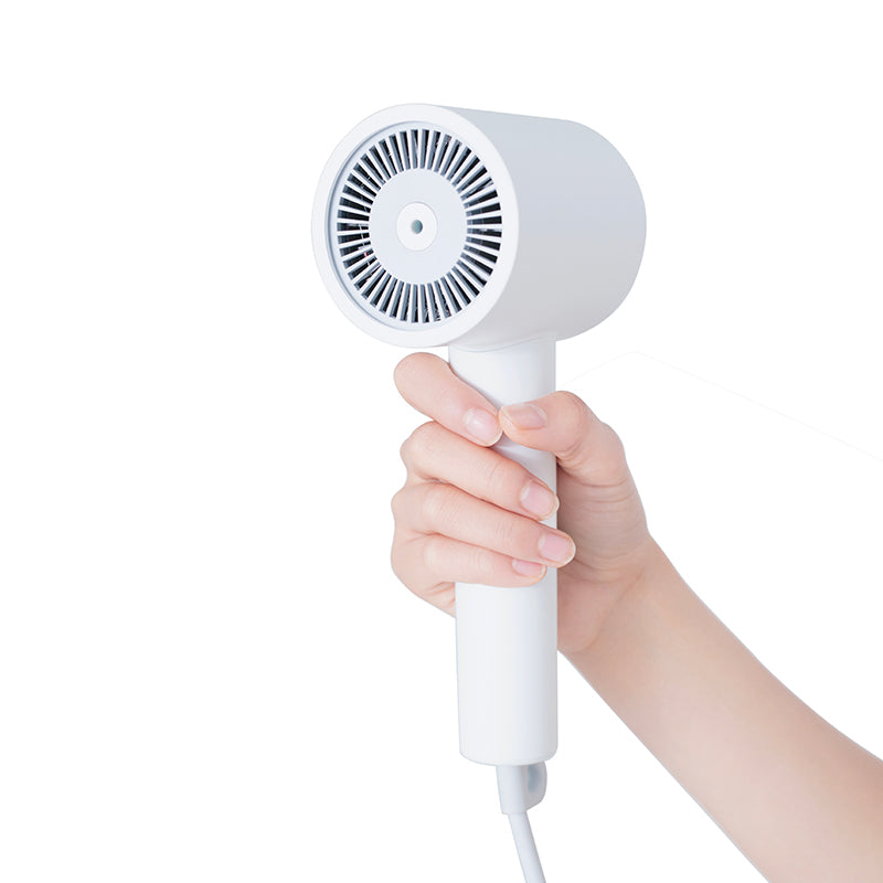 Mi Ionic Hair Dryer H300