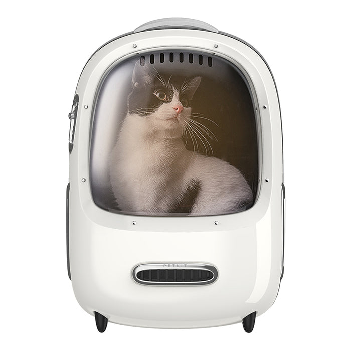 Travel Backpack 2