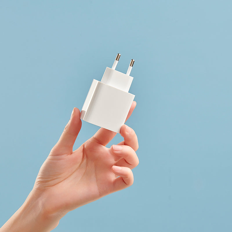 Mi 33W Wall Charger