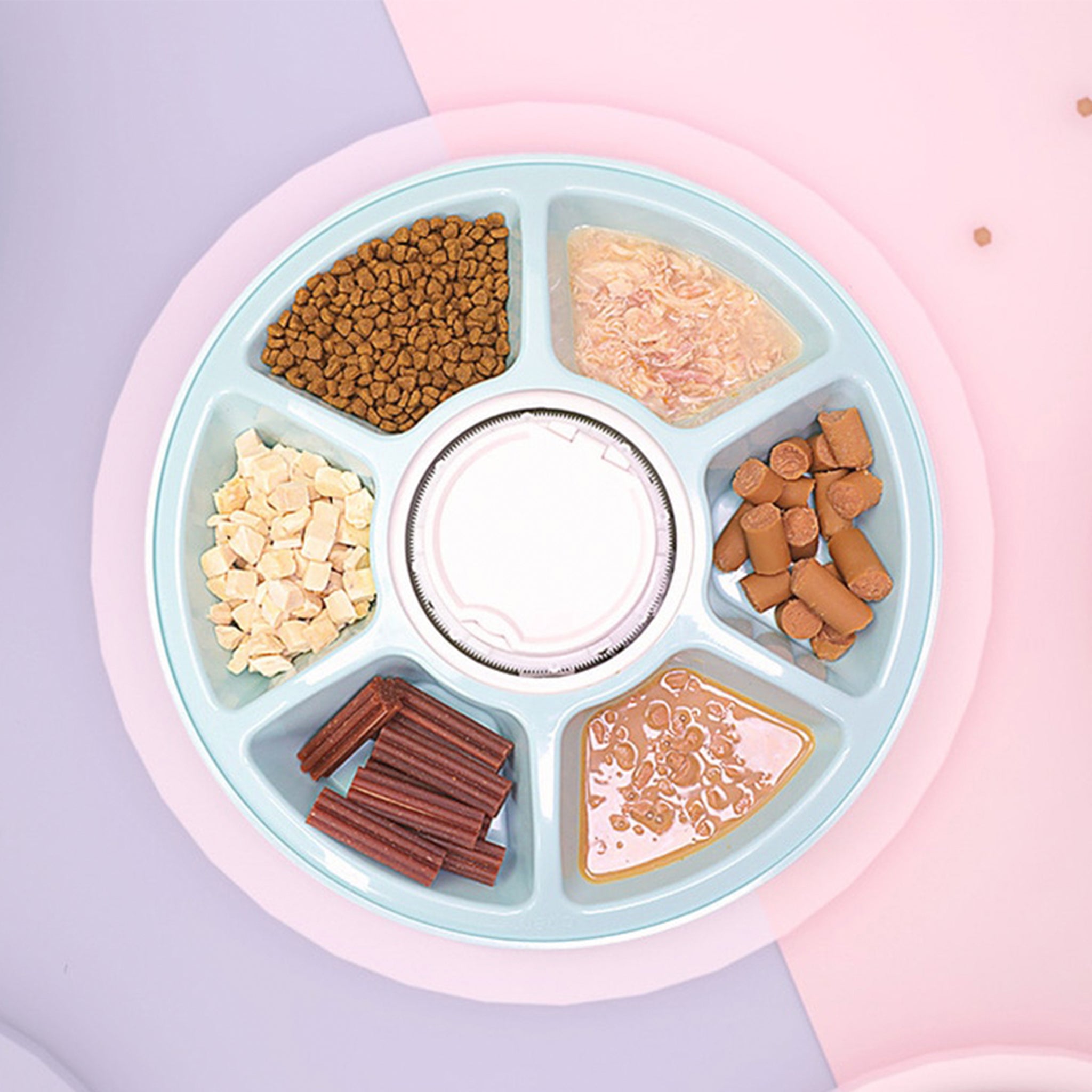 Pet Timed Feeder