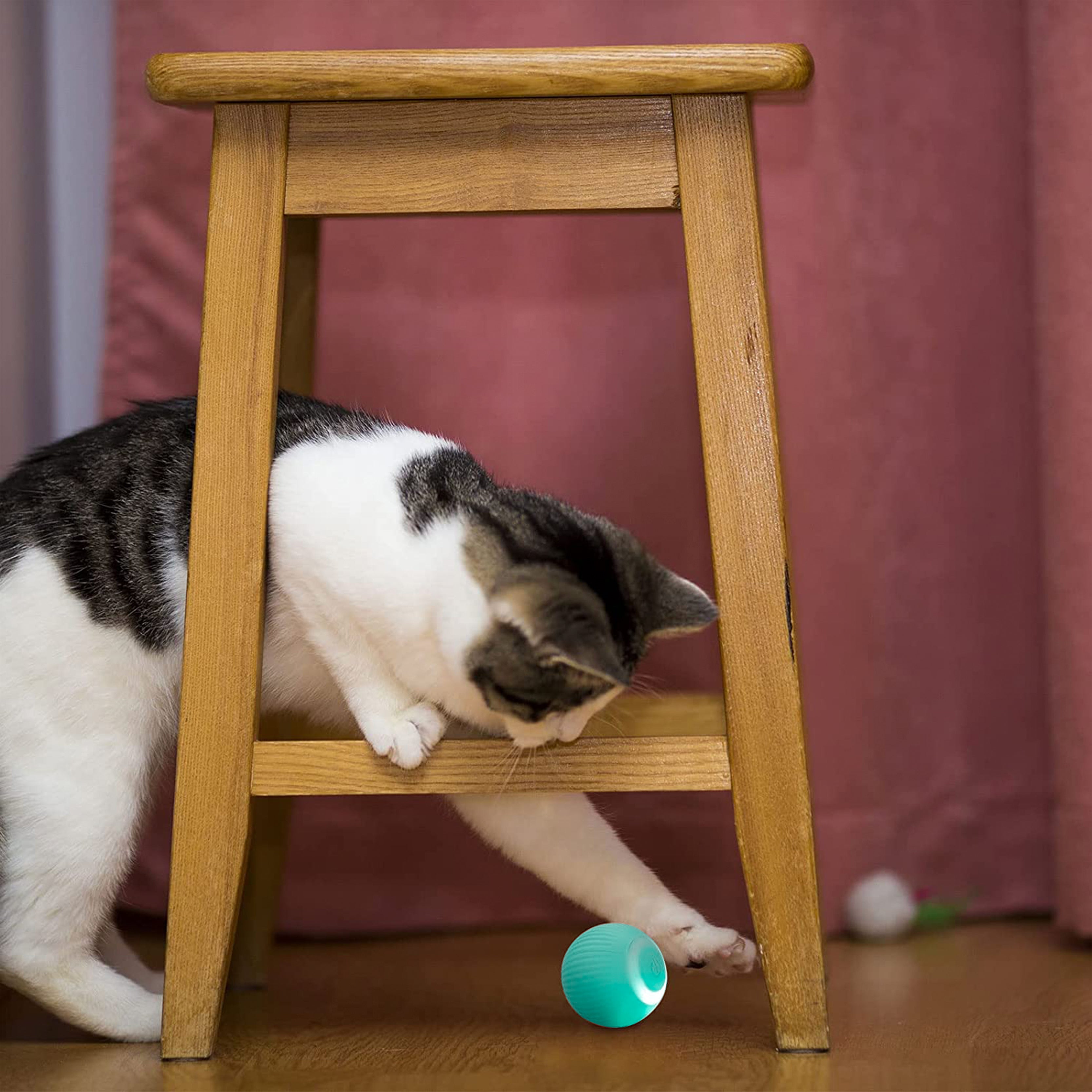 Pet Smart Rotating Ball