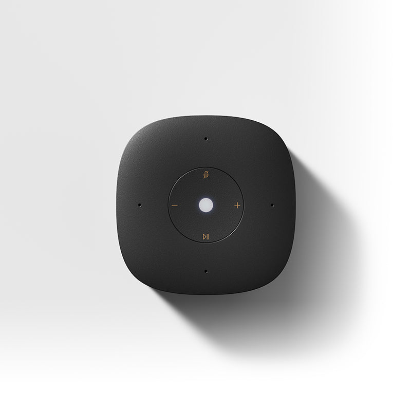 Xiaomi Smart Speaker IR Control