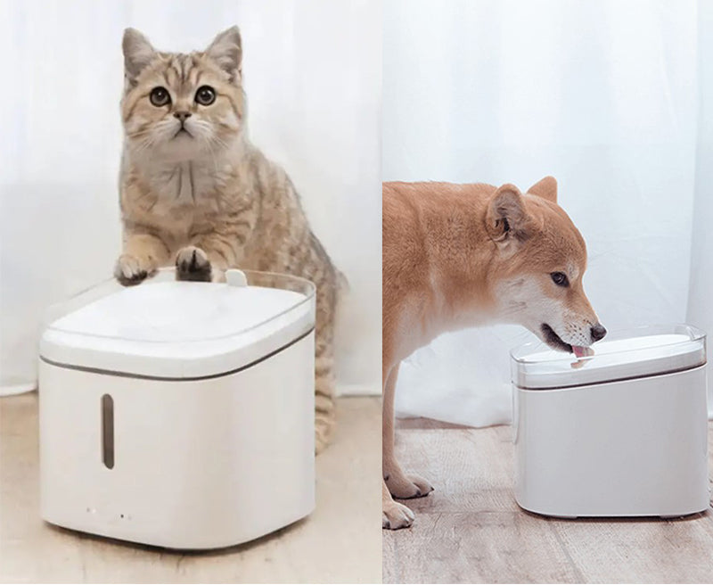 Xiaomi Smart Pet Fountain